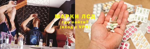 гидра Богородицк