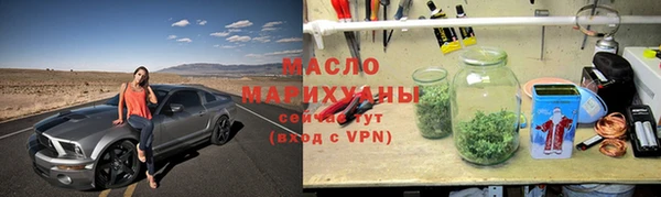 гидра Богородицк