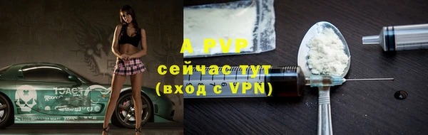 гидра Богородицк
