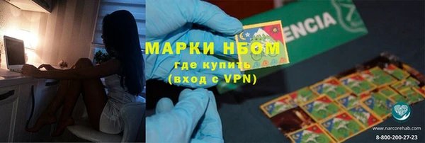гидра Богородицк