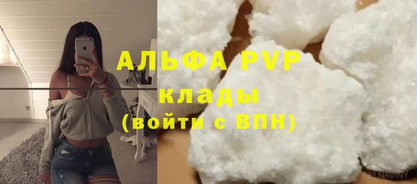 гидра Богородицк