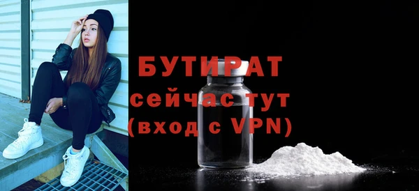 гидра Богородицк