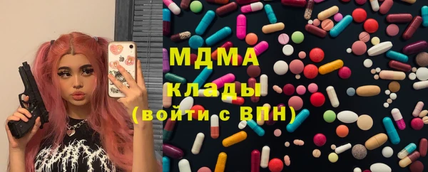 гидра Богородицк