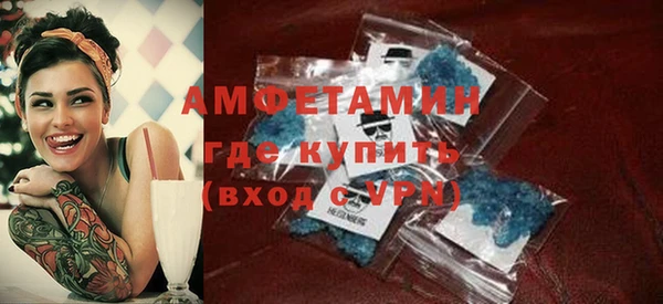 гидра Богородицк