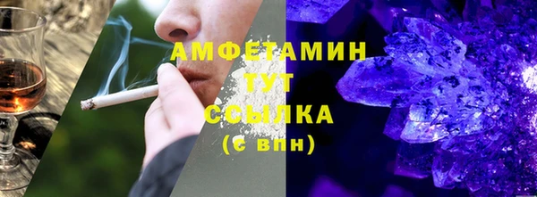 гидра Богородицк