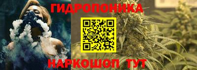 не бодяженный Гай