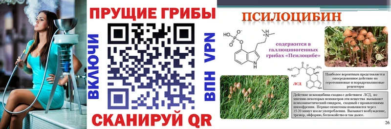 нарко площадка клад  Волжск  Галлюциногенные грибы Psilocybine cubensis 