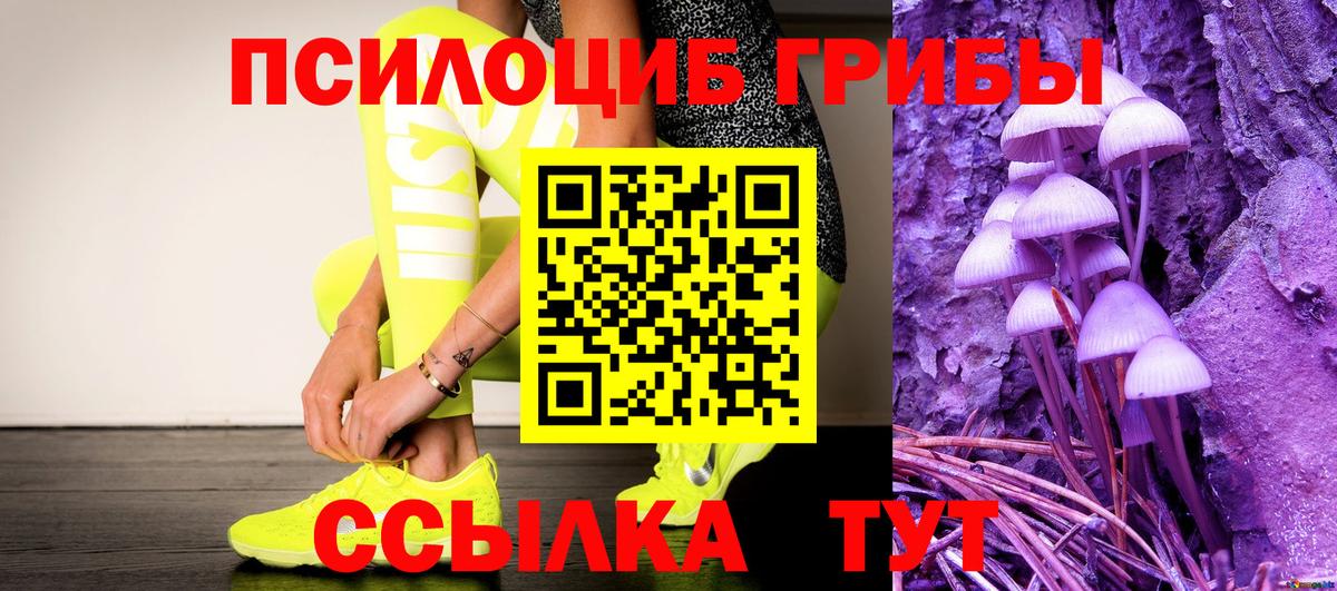 Галлюциногенные грибы MAGIC MUSHROOMS  Вход с VPN  Волжск  Псилоцибиновые грибы Cubensis 